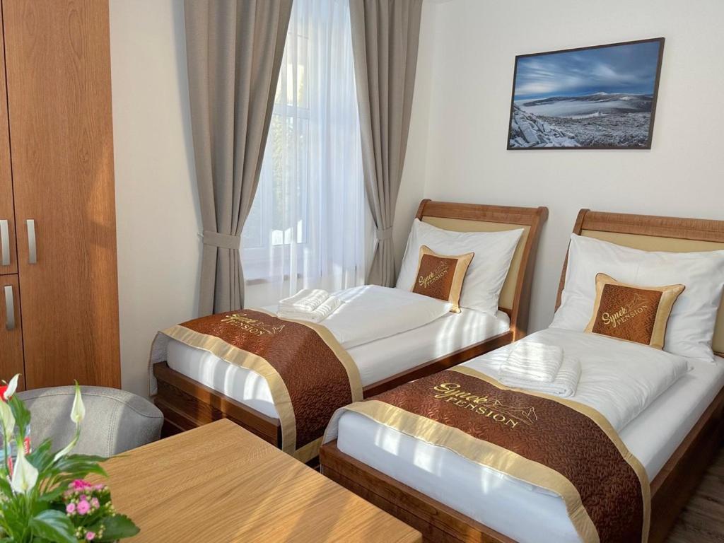 Synek Pension Špindlerŭv Mlýn Ngoại thất bức ảnh